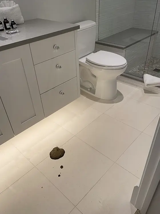 Bathroom tile floor before cleaning with visible stains